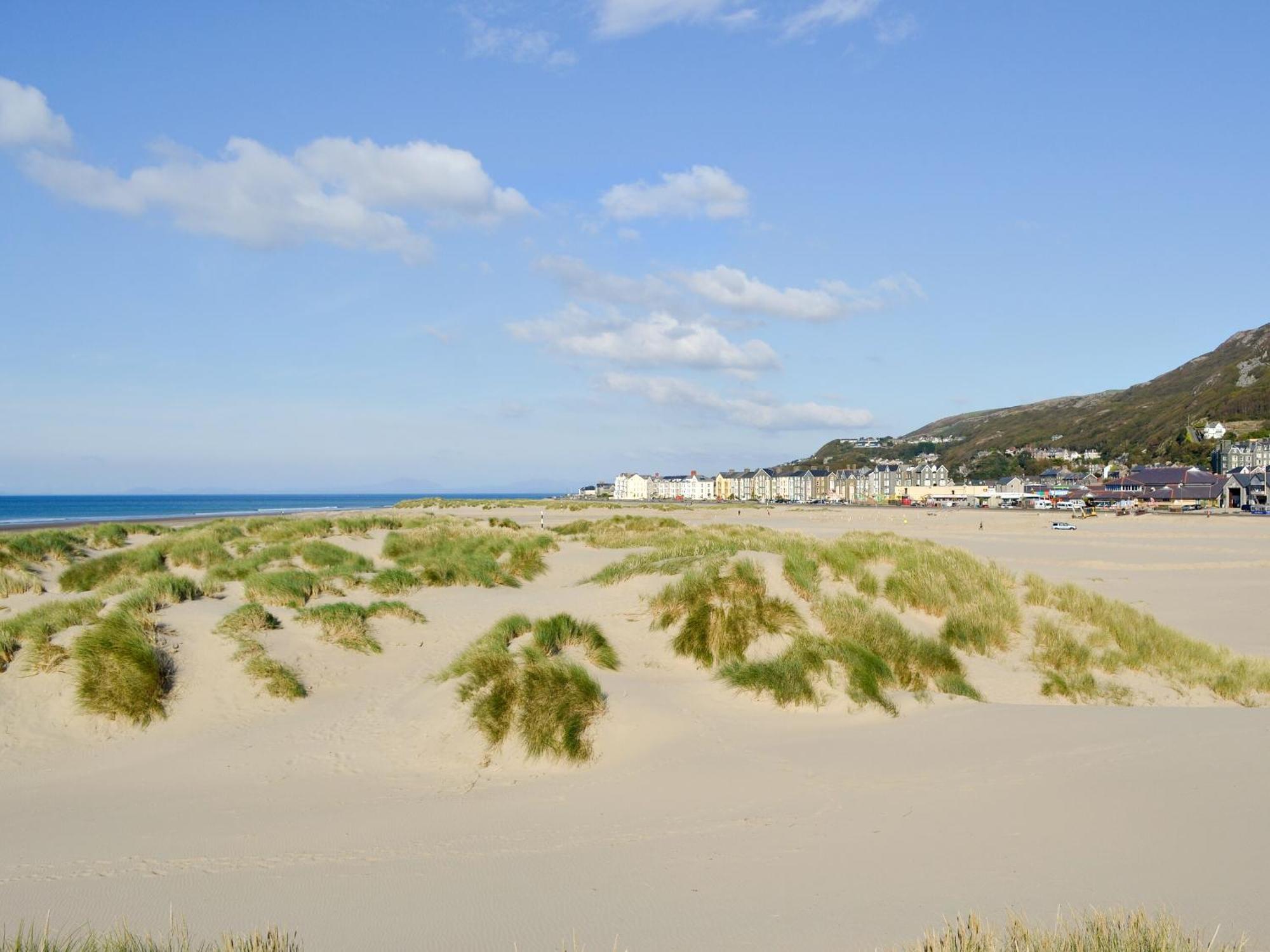 Cae-Fadog Fach Villa Barmouth Eksteriør bilde